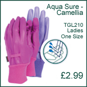 Gloves - Camellia Aqua Sure