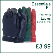 Gloves - Essentials