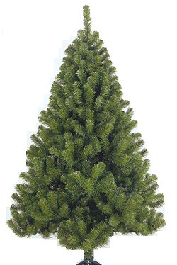 Glendale Spruce 3ft - 7ft - Realistic Artificial Christmas Tree