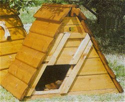 The Bedgebury Range - The Bedgebury 801
