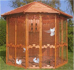aviaries - The Canterbury
