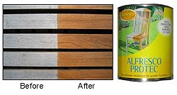 Cleaner and Restorer - Alfresco Protector
