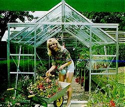 Consort Royale, and Emperor Greenhouses - 8ft wide Greenhouses