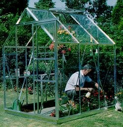 Countess Royale - 5ft wide Greenhouses