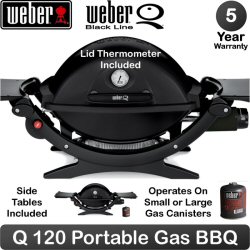 Weber Q 120 - Portable Gas Barbecue