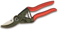 Secateurs - Economy (No 5)
