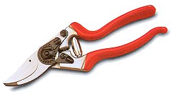 Secateurs - Classic (No 8)