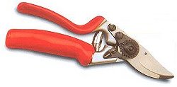 Secateurs - Professional (No 10)
