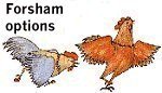 The Forsham Range - The Forsham options