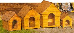 Dog Kennels - Hadlow Kennels