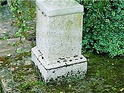 Urns and Vases - Regency Pedestal