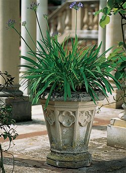 Urns and Vases - Gothic Vase