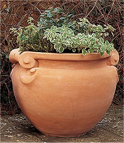 Jardinieres - Scrolled Jardiniere