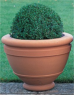 Jardinieres - Compton Bowl