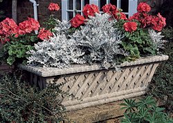 Troughs and Planters - Belton Trough