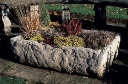 Troughs and Planters - Alpine Troughs