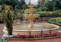 Pool Surrounds - Extra Large Pools