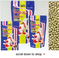 Hikari Staple Baby Fish Food - Basic Daily Diet Baby Goldfish and Koi Fry
