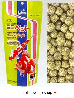 Hikari Staple Mini Fish Food - Basic Daily Diet for Adult Goldfish and Baby Koi