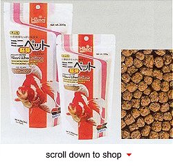 Hikari Wheat Germ Mini Fish Food - Easily Digested Daily Diet for Goldfish, Baby Koi and Large Tropical Fish