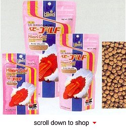 Hikari Gold Baby Fish Food - A Color Enhancing Diet Baby Goldfish and Koi Fry