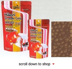 Hikari Oranda Gold Fish Food - A Color Enhancing Daily Diet for Fancy Goldfish