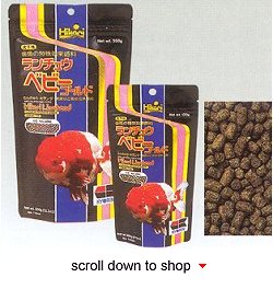 Hikari Lionhead Fish Food - Live Food Alternative for Fancy Goldfish