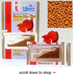 Hikari Betta Bio-Gold Fish Food - Daily Color Enhancing Diet for Bettas