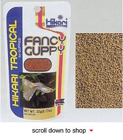 Hikari Tropical Fancy Guppy Fish Food - A Daily Diet for all Types of Guppies