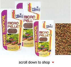 Hikari Tropical Micro Pellets Fish Food - A Daily Diet for all Small-Mouth Tropical Fish