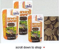 Hikari Tropical Sinking Wafer Fish Food - A Daily Diet for Corydoras Catfish, Loaches and Other Small Bottom Feeders