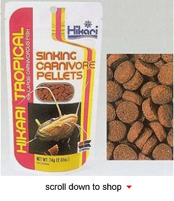 Hikari Tropical Sinking Carnivore Pellet Fish Food - A Daily Diet for Larger Carnivorus Fish