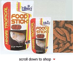 Hikari Tropical Food Sticks - A Daily Diet for all Types of Carnivorus Fish