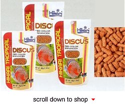 Hikari Tropical Discus Fish Food - A Daily Diet for Discus