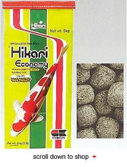 Hikari Economy Fish Food - Economical Diet for Koi