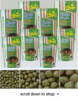 Hikari Cichlid Staple Fish Food - A Daily Diet for Cichlids and Large Tropical Fish