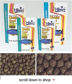 Hikari Cichlid Excel Fish Food - A Daily Diet for Herbivorous Cichlids
