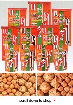 Hikari Wheat Germ Fish Food - Easily Digested Growth Diet for Koi