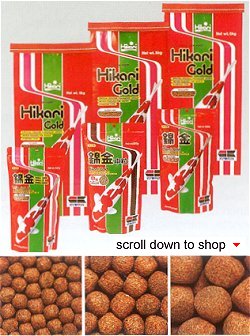 Hikari Gold Fish Food - Color Enhancing Diet for Koi