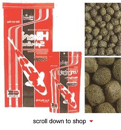 Hikari Spirulina Fish Food - Superior Color Enhancing Diet for Koi
