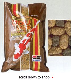 Hikari Hi-Growth Fish Food - A Body Growth Diet for Nishikigoi