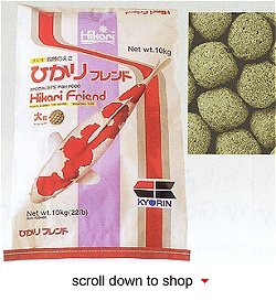 Hikari Friend Fish Food - Economical Diet for Koi