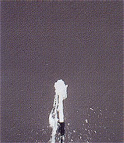 Fountain Jets - Fountain Jet Geyser