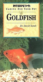 Goldfish - Caring For Your Pet