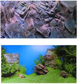 Juwel Poster - Aquarium background.