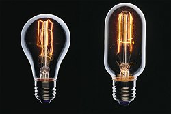 Long Life Bulbs 690/691 - Bulbs