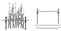 Plant Magic Range - Supports and Plant Sticks