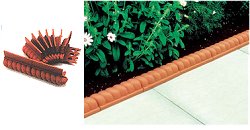 Border and Edging - Path Edge Tiles
