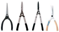 Razorsharp - Shears