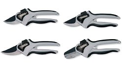 Razorsharp - Secateurs